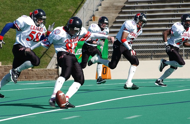 和对于滑雪 和对于滑雪
